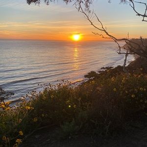 Meet your Posher, Max